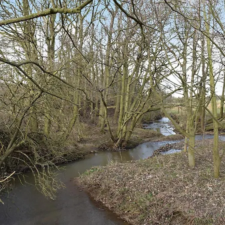 Bettys Byre Was The Byre * Little Ayton